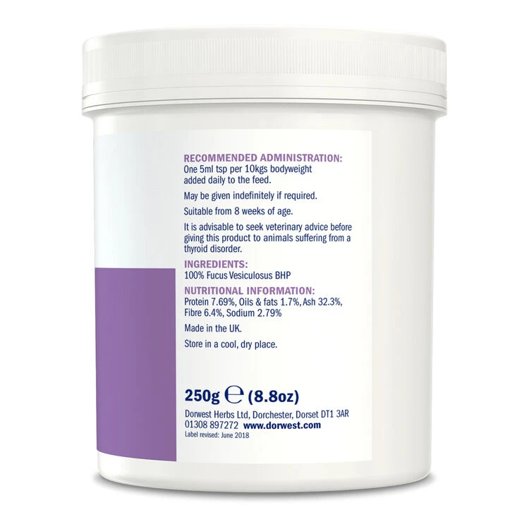 Dorwest Kelp Seaweed Powder 7 Dorwest Kelp Seaweed Powder - Image 5