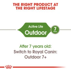 ROYAL CANIN® Outdoor Active Adult Dry Cat Food 19 ROYAL CANIN® Outdoor Active Adult Dry Cat Food -PetJoy Shop l1r3akqrn9p1iktcyuvm