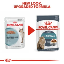 ROYAL CANIN® Hairball Care In Gravy Adult Wet Cat Food -PetJoy Shop lf4d88qi7ia2uaqsv0sl