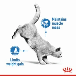 ROYAL CANIN® Light Weight Care In Gravy Adult Wet Cat Food -PetJoy Shop lope0judqaencngvu9op