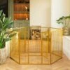 Lords & Labradors 6 Panel Play Pen 80cm Gold -PetJoy Shop lords and labradors gold play pen lifestyle