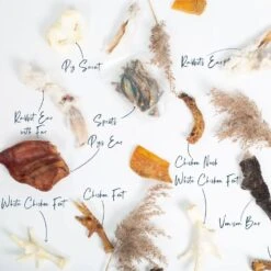 Lords & Labradors Natural Graze Ultimate Treat Box 7 Lords & Labradors Natural Graze Ultimate Treat Box -PetJoy Shop lords and labradors natural treats box studio annotation 657f5448 8ff8 4cad ab85 b8d3ba1e9f95 1920x.progressive