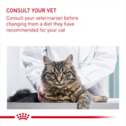 ROYAL CANIN® Urinary Care In Gravy Adult Wet Cat Food 19 ROYAL CANIN® Urinary Care In Gravy Adult Wet Cat Food -PetJoy Shop lox5h25zciaapyfqqpgo 1