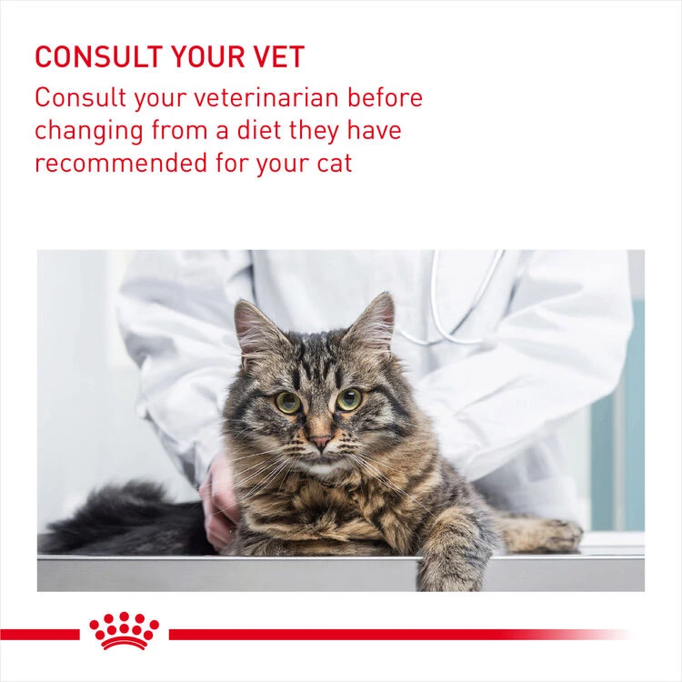 ROYAL CANIN® Urinary Care In Gravy Adult Wet Cat Food 11 ROYAL CANIN® Urinary Care In Gravy Adult Wet Cat Food - Image 9