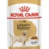 ROYAL CANIN® Labrador Retriever Adult In Gravy Wet Dog Food -PetJoy Shop lpssv9yqywdhsjctecst