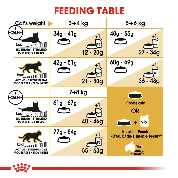 ROYAL CANIN® Bengal Adult Dry Cat Food 6 ROYAL CANIN® Bengal Adult Dry Cat Food - Image 4