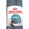 ROYAL CANIN® Hairball Care Adult Dry Cat Food 1 ROYAL CANIN® Hairball Care Adult Dry Cat Food -PetJoy Shop lutrq3bchrd6kcnn2z0p
