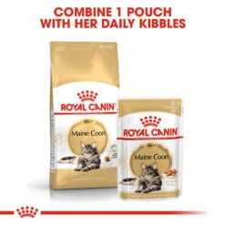 ROYAL CANIN® Maine Coon Adult Dry Cat Food 14 ROYAL CANIN® Maine Coon Adult Dry Cat Food -PetJoy Shop lxdppgtzrhaviv9j1kho