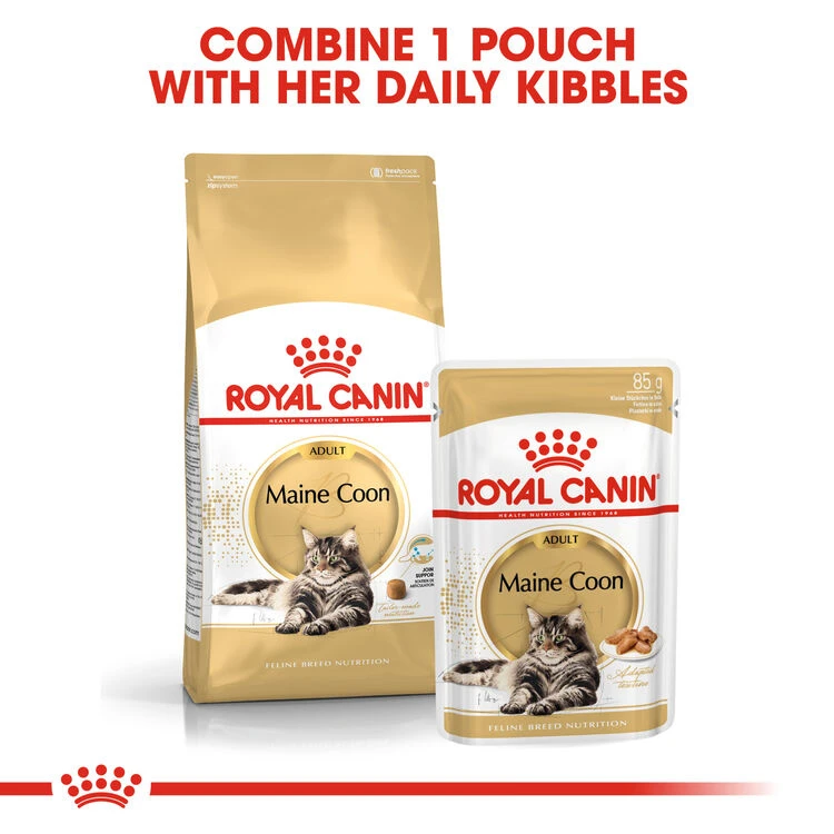 ROYAL CANIN® Maine Coon Adult Dry Cat Food 7 ROYAL CANIN® Maine Coon Adult Dry Cat Food - Image 5