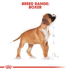 ROYAL CANIN® Boxer Puppy Dry Food -PetJoy Shop mawur3ufx7onliwqw58b