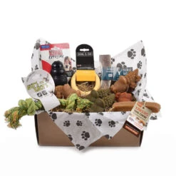 Tough Toy & Treats Subscription Box For Medium Dogs