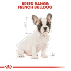 ROYAL CANIN® French Bulldog Puppy Dry Food 16 ROYAL CANIN® French Bulldog Puppy Dry Food -PetJoy Shop mgc5ih9afooc5fcyoamt
