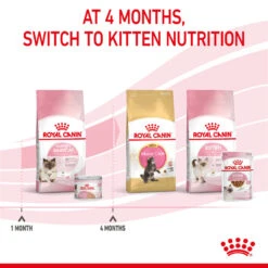 ROYAL CANIN® Mother And Babycat Adult And Kitten Wet Food 22 ROYAL CANIN® Mother And Babycat Adult And Kitten Wet Food -PetJoy Shop mhcxry0w572uuu2sdpeh