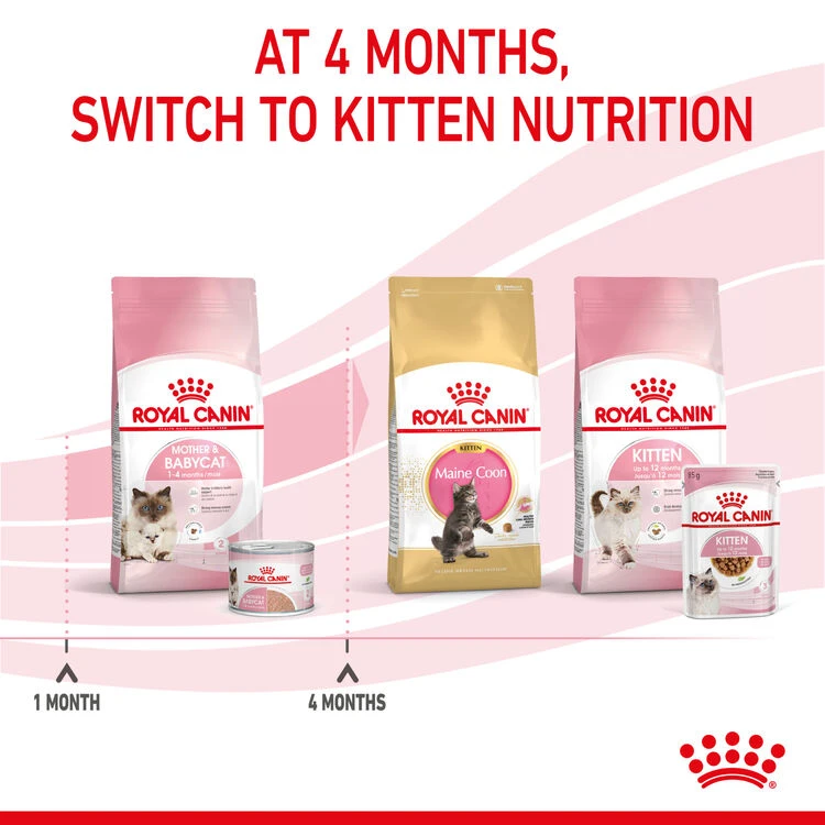 ROYAL CANIN® Mother And Babycat Adult And Kitten Wet Food 12 ROYAL CANIN® Mother And Babycat Adult And Kitten Wet Food - Image 10