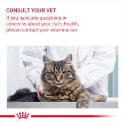 ROYAL CANIN® Oral Care Adult Dry Cat Food 17 ROYAL CANIN® Oral Care Adult Dry Cat Food -PetJoy Shop mkawaklaiteu3qlaeddq 3