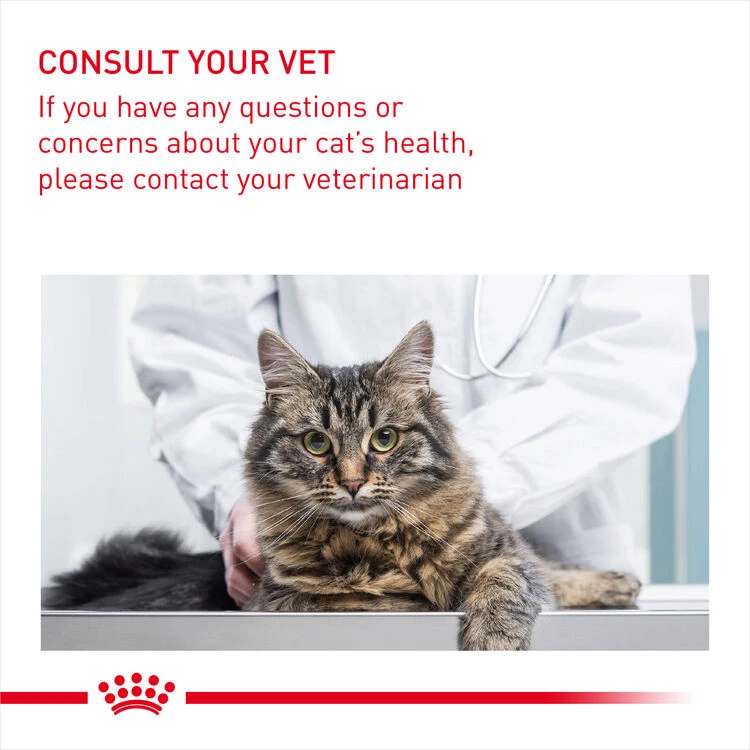 ROYAL CANIN® Oral Care Adult Dry Cat Food 10 ROYAL CANIN® Oral Care Adult Dry Cat Food - Image 8