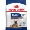 ROYAL CANIN® Maxi Large Breed Ageing 8+ Dry Dog Food -PetJoy Shop ne1ypwexrllztmx5xhme