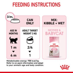 ROYAL CANIN® Mother And Babycat Adult And Kitten Wet Food 21 ROYAL CANIN® Mother And Babycat Adult And Kitten Wet Food -PetJoy Shop ngcx18ohfpsmwwedn9j7