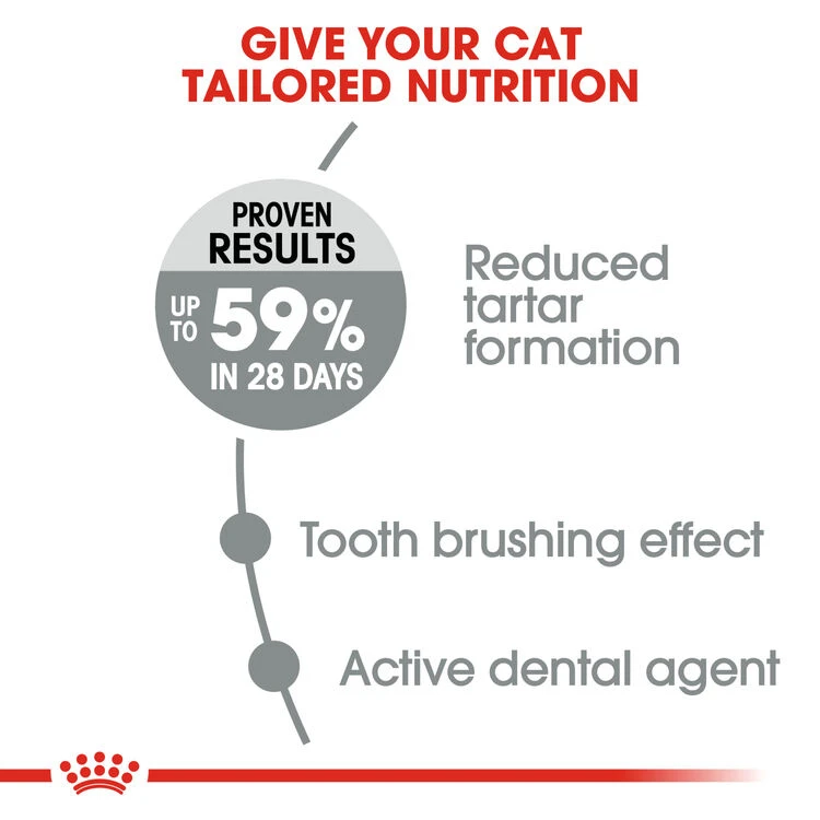 ROYAL CANIN® Oral Care Adult Dry Cat Food 9 ROYAL CANIN® Oral Care Adult Dry Cat Food - Image 7