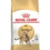 ROYAL CANIN® Bengal Adult Dry Cat Food 1 ROYAL CANIN® Bengal Adult Dry Cat Food -PetJoy Shop nmw8zqf63944vcbtelop