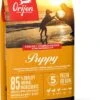 Orijen Puppy Dry Dog Food -PetJoy Shop ns canada emea apac orijen puppy front right 11.4kg 28129