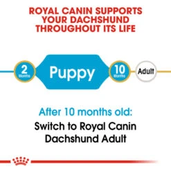 ROYAL CANIN® Dachshund Puppy Dry Food 13 ROYAL CANIN® Dachshund Puppy Dry Food -PetJoy Shop ntkakrujnl1cvqb6chka