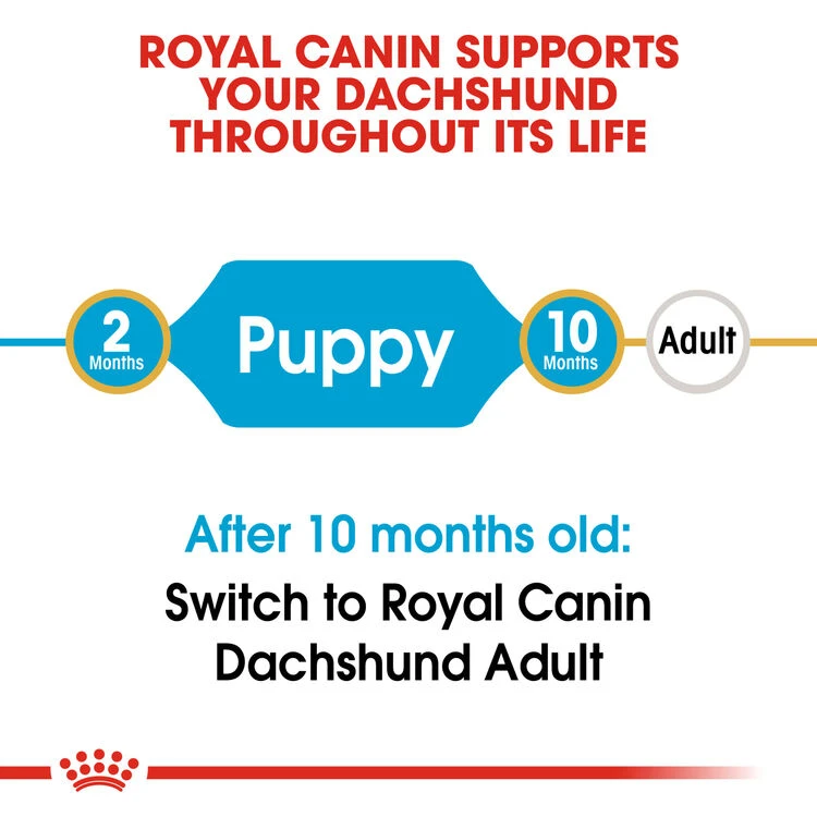 ROYAL CANIN® Dachshund Puppy Dry Food 5 ROYAL CANIN® Dachshund Puppy Dry Food - Image 3