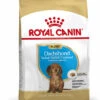 ROYAL CANIN® Dachshund Puppy Dry Food -PetJoy Shop oaipbnc9udhizjfmrzqc