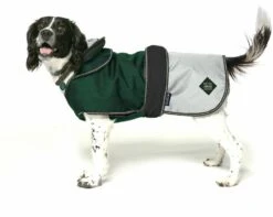Battersea 2 In 1 Waterproof Dog Coat Green