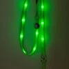 Nite Beams Flashing LED Dog Lead Green Medium/Large 2.5cm X 180cm -PetJoy Shop pllg01r