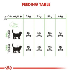 ROYAL CANIN® Digestive Care Adult Dry Cat Food 15 ROYAL CANIN® Digestive Care Adult Dry Cat Food -PetJoy Shop pmd5gqfq1eovxzd6utb3