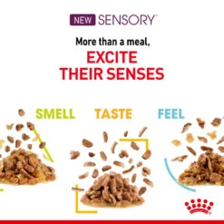 ROYAL CANIN® Sensory Feel In Gravy Adult Wet Cat Food 14 ROYAL CANIN® Sensory Feel In Gravy Adult Wet Cat Food -PetJoy Shop po3sktkdtt4qvcqggncd