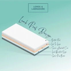 Lords & Labradors Puppy Training Pads 7 Lords & Labradors Puppy Training Pads -PetJoy Shop puppy pads illustration 01 7b18e93a a569 4c55 806e 5d93914b24ee 1920x.progressive