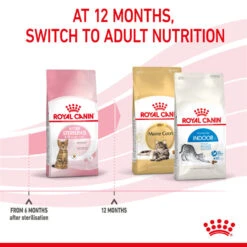 ROYAL CANIN® Kitten Sterilised Dry Food -PetJoy Shop qddivhypfdhwy5dc8qcj