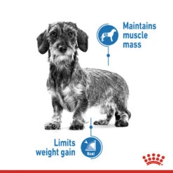 ROYAL CANIN® X-Small Light Weight Care Adult Dry Dog Food 15 ROYAL CANIN® X-Small Light Weight Care Adult Dry Dog Food -PetJoy Shop qlggrwf4c3gifsyxvgwa