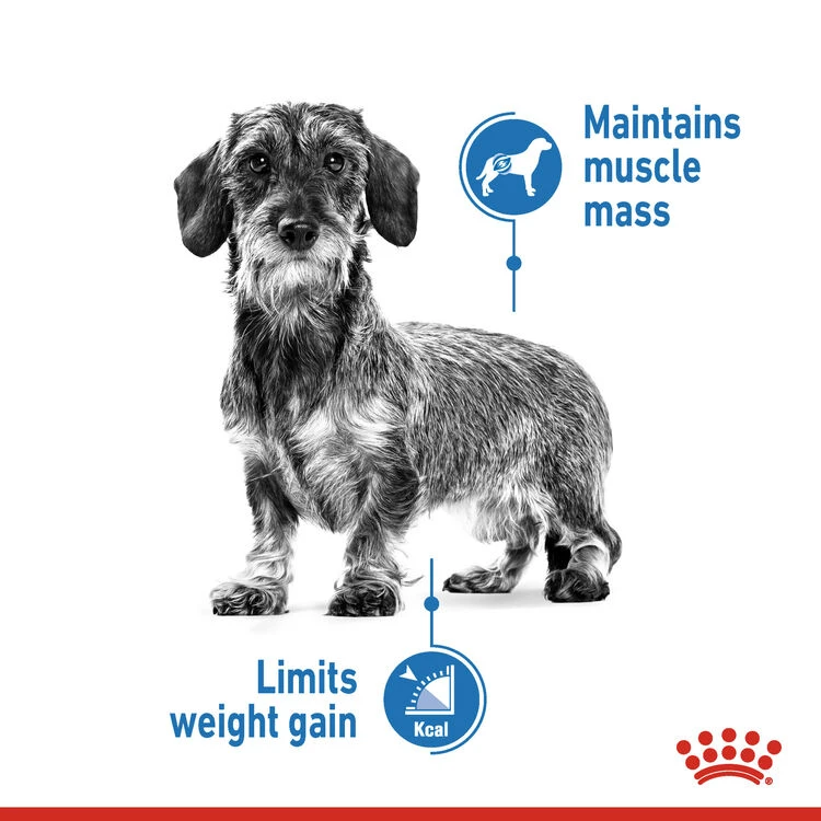 ROYAL CANIN® X-Small Light Weight Care Adult Dry Dog Food 6 ROYAL CANIN® X-Small Light Weight Care Adult Dry Dog Food - Image 4