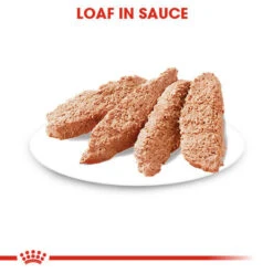 ROYAL CANIN® Dermacomfort Wet Pouches All Breeds Adult Dog Food -PetJoy Shop qlvuchyaenqhgeeux2nk