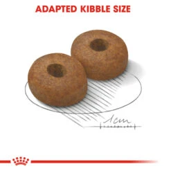 ROYAL CANIN® Maxi Large Breed Ageing 8+ Dry Dog Food -PetJoy Shop qvmoofns3cjeze6firvq