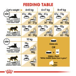 ROYAL CANIN® Maine Coon Adult Dry Cat Food 13 ROYAL CANIN® Maine Coon Adult Dry Cat Food -PetJoy Shop ra2wm2o2mwgdykyljkou