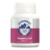 Dorwest Raspberry Leaf Tablets -PetJoy Shop rl100