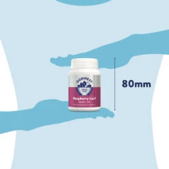 Dorwest Raspberry Leaf Tablets -PetJoy Shop rl200 pt12