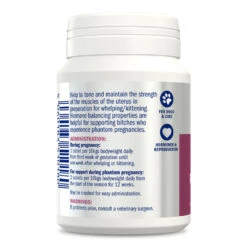 Dorwest Raspberry Leaf Tablets -PetJoy Shop rl200 s1