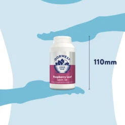 Dorwest Raspberry Leaf Tablets -PetJoy Shop rl500 pt12
