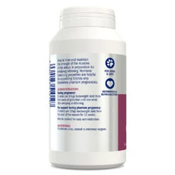 Dorwest Raspberry Leaf Tablets -PetJoy Shop rl500 s1