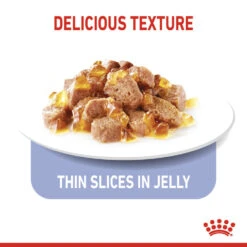 ROYAL CANIN® Appetite Control Care In Jelly Adult Wet Cat Food 16 ROYAL CANIN® Appetite Control Care In Jelly Adult Wet Cat Food -PetJoy Shop rtbisewxahajeiwgubhz