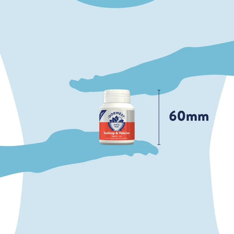 Dorwest Scullcap & Valerian Tablets For Pets 5 Dorwest Scullcap & Valerian Tablets For Pets - Image 3