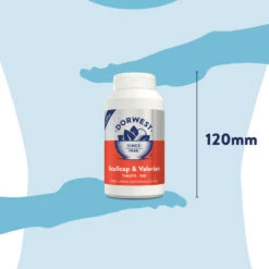 Dorwest Scullcap & Valerian Tablets For Pets 24 Dorwest Scullcap & Valerian Tablets For Pets -PetJoy Shop sv500 pt12