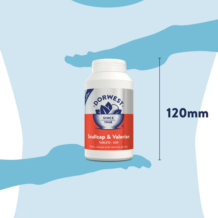 Dorwest Scullcap & Valerian Tablets For Pets 13 Dorwest Scullcap & Valerian Tablets For Pets - Image 11