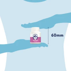 Dorwest Milk Thistle Tablets -PetJoy Shop th100 pt12