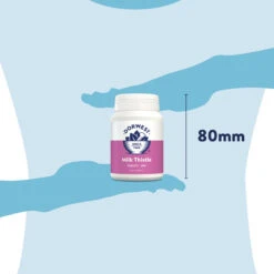 Dorwest Milk Thistle Tablets -PetJoy Shop th200 pt12